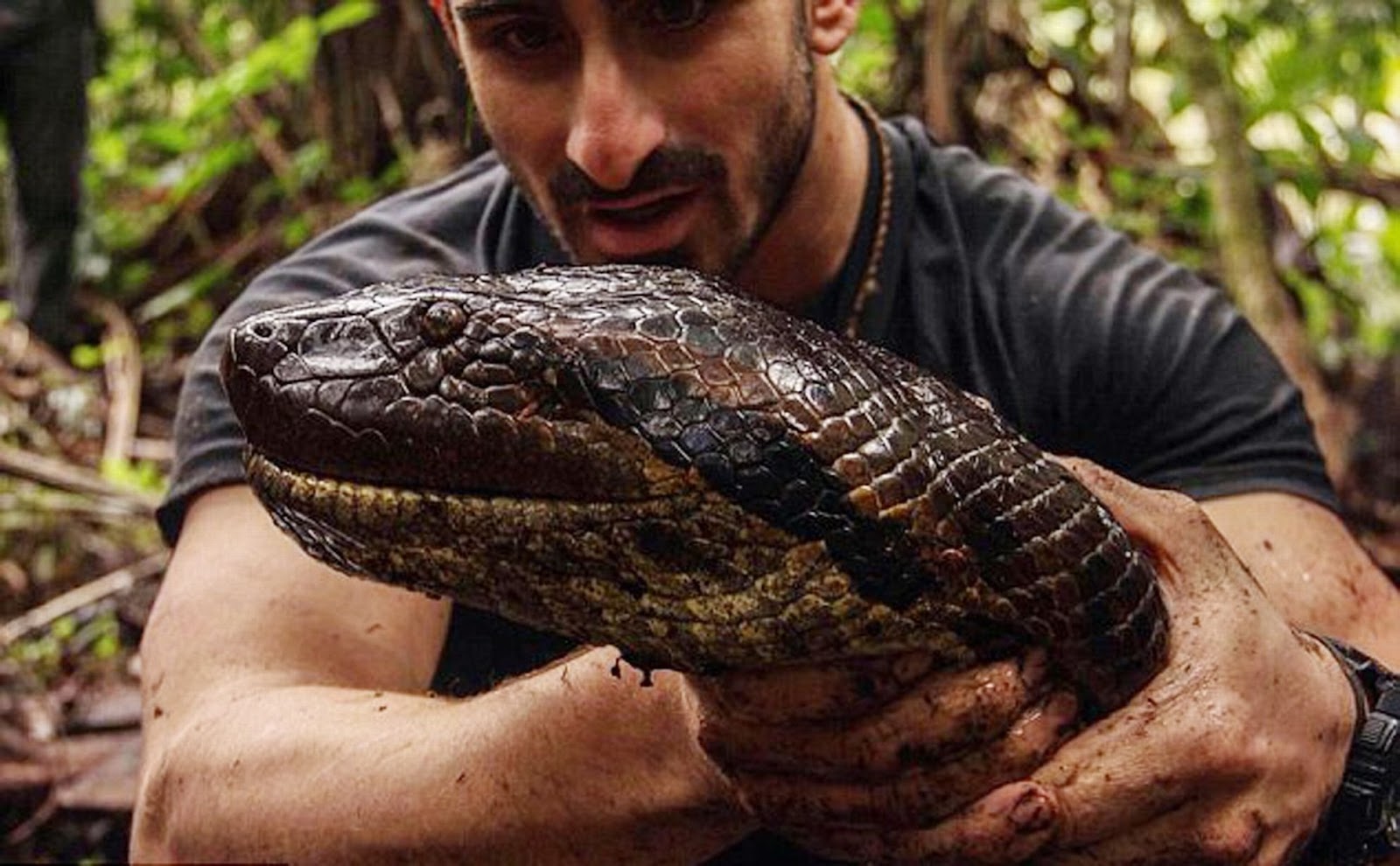 Paul Rosolie fails to get Eaten Alive by an anaconda.