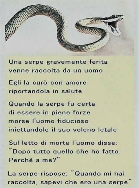 Veritas Vincit Non Fare Il Male Che E Peccato Non Fare Il Bene Che E Sprecato