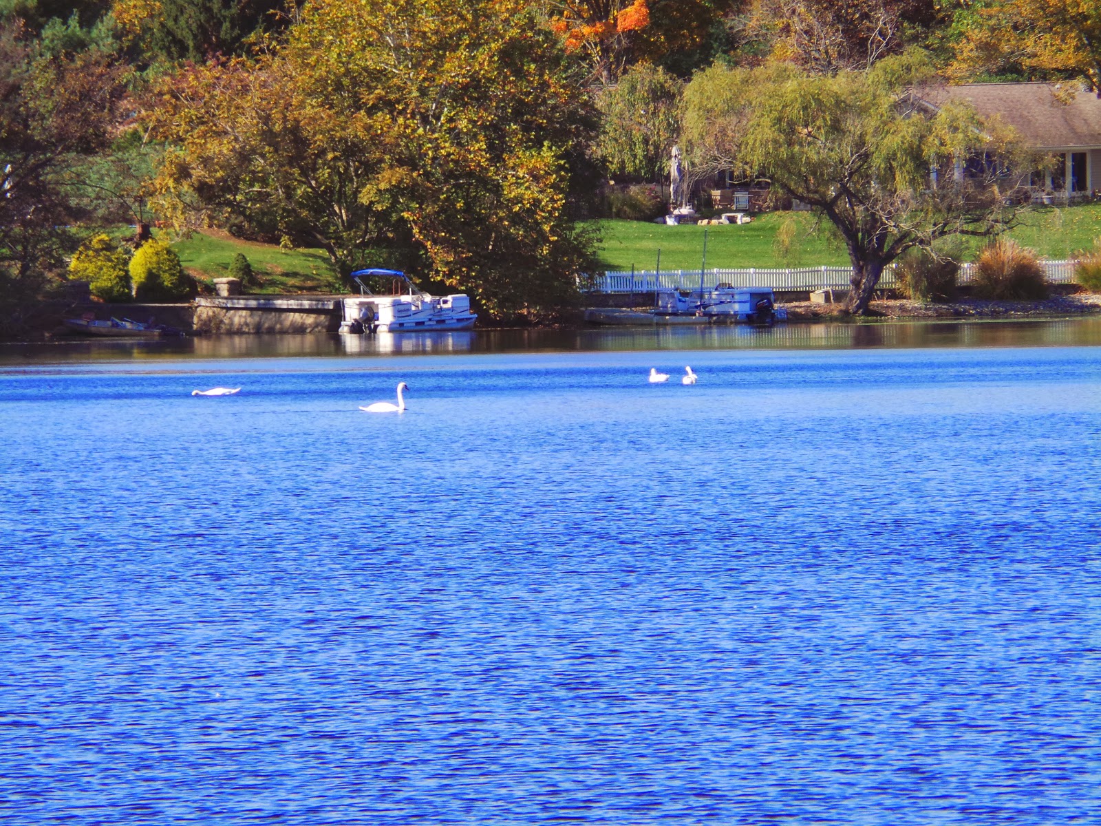 New Jersey and You Perfect Together, Liberty and