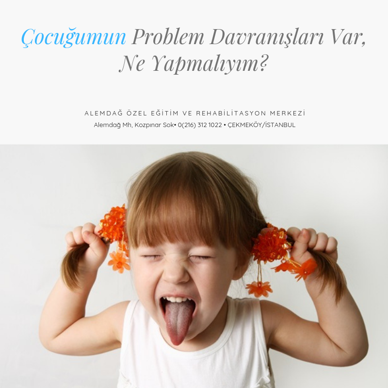 Alemdag Ozel Egitim Ve Rehabilitasyon Merkezi Subat 2019