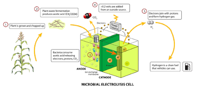Microbial fuel cell