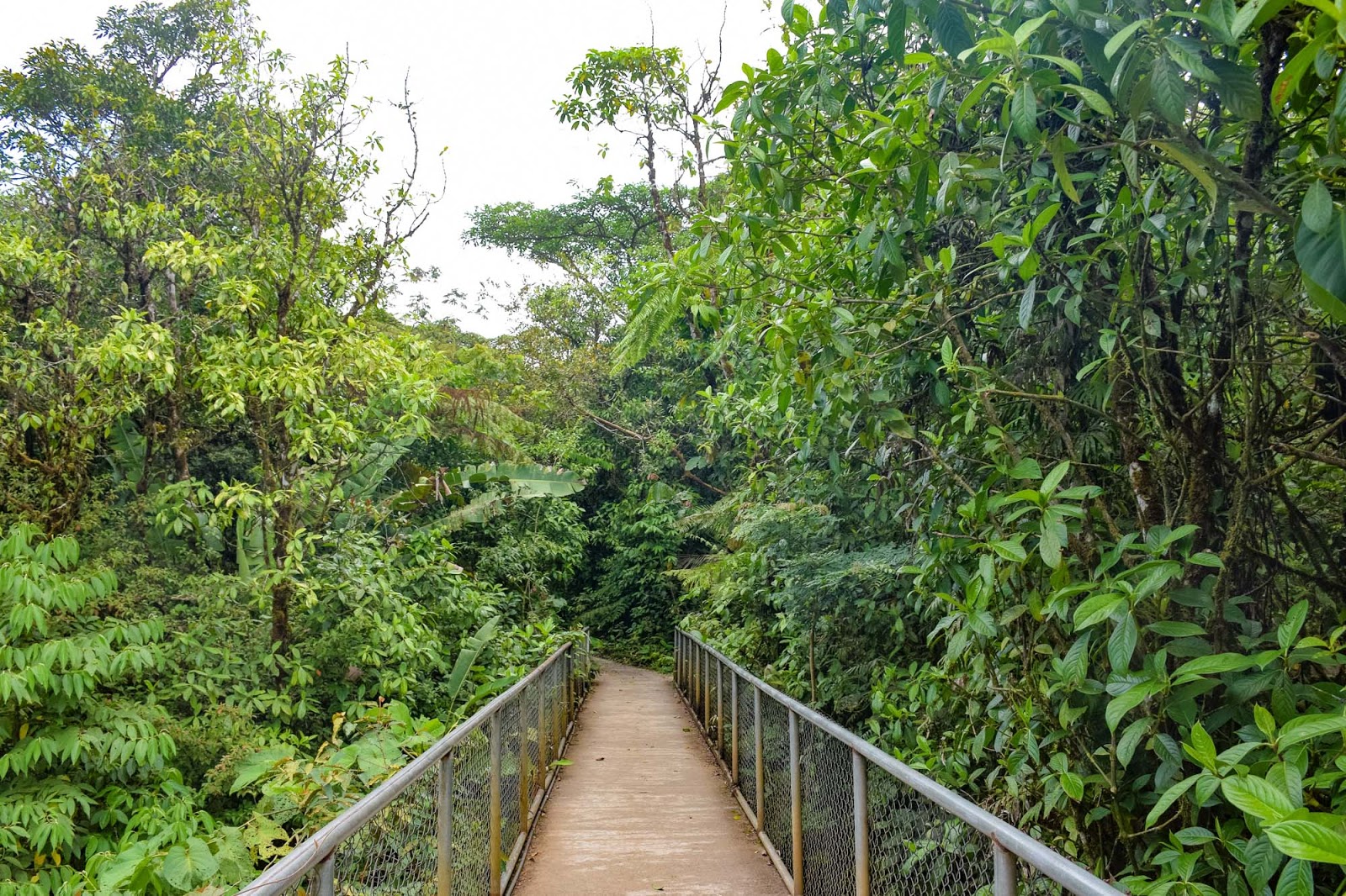 rio celeste waterfall