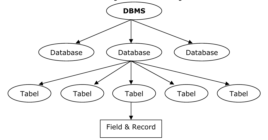 DBMS. Database field and record. Big query структура. What is database. Database fields