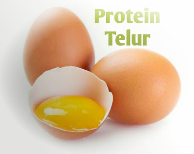 Manfaat protein telur