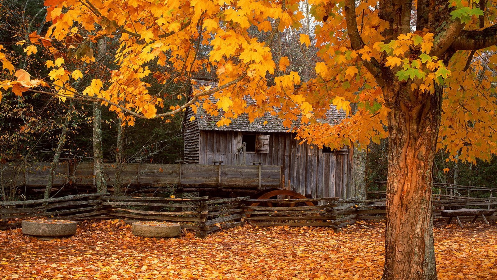 Latest Top HD Autumn Wallpapers | HDIMAGESPLUS
