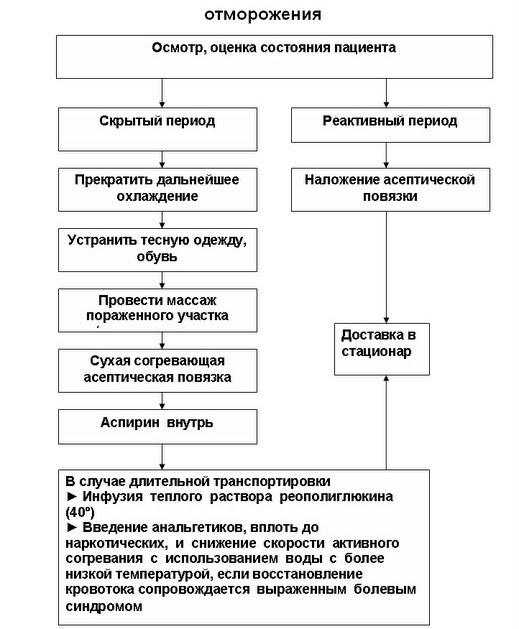 патогенез отморожения