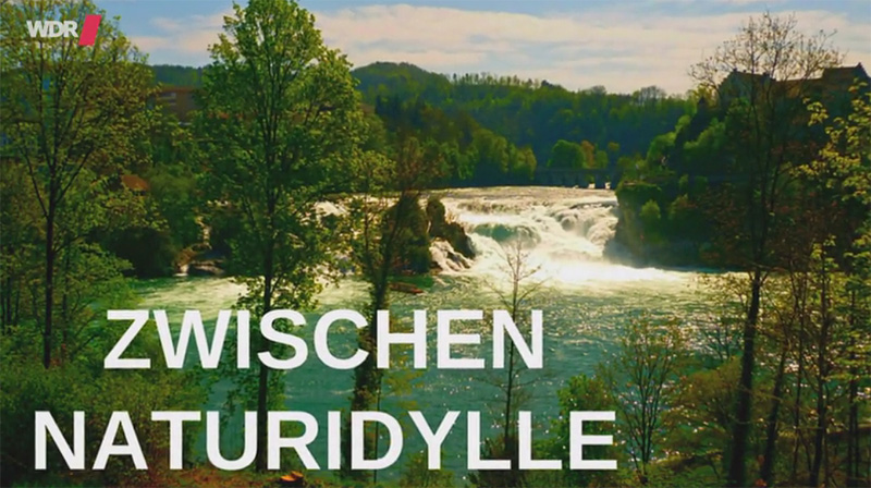 Der Muger Rhein Marne Kanal Heute Am Rhein Rhone Kanal