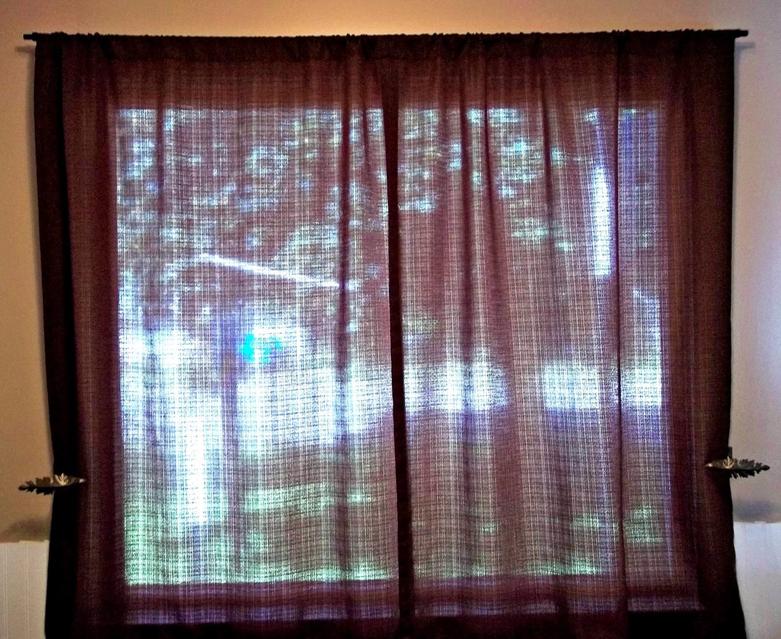 Singing Honey Bee Patience Pays Off, Thrift Store Curtains