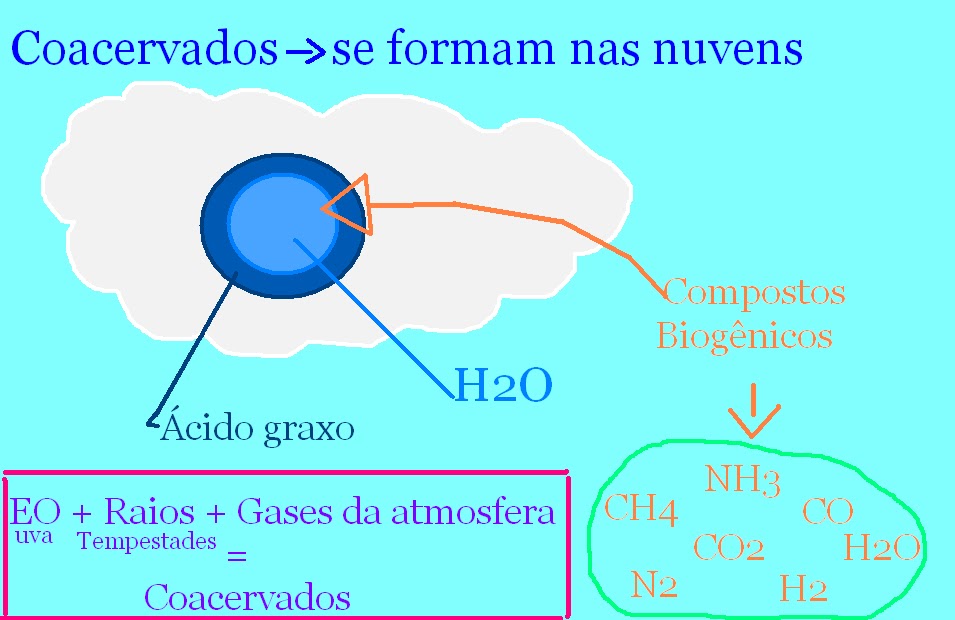 ciencias 7° ano Março 2012