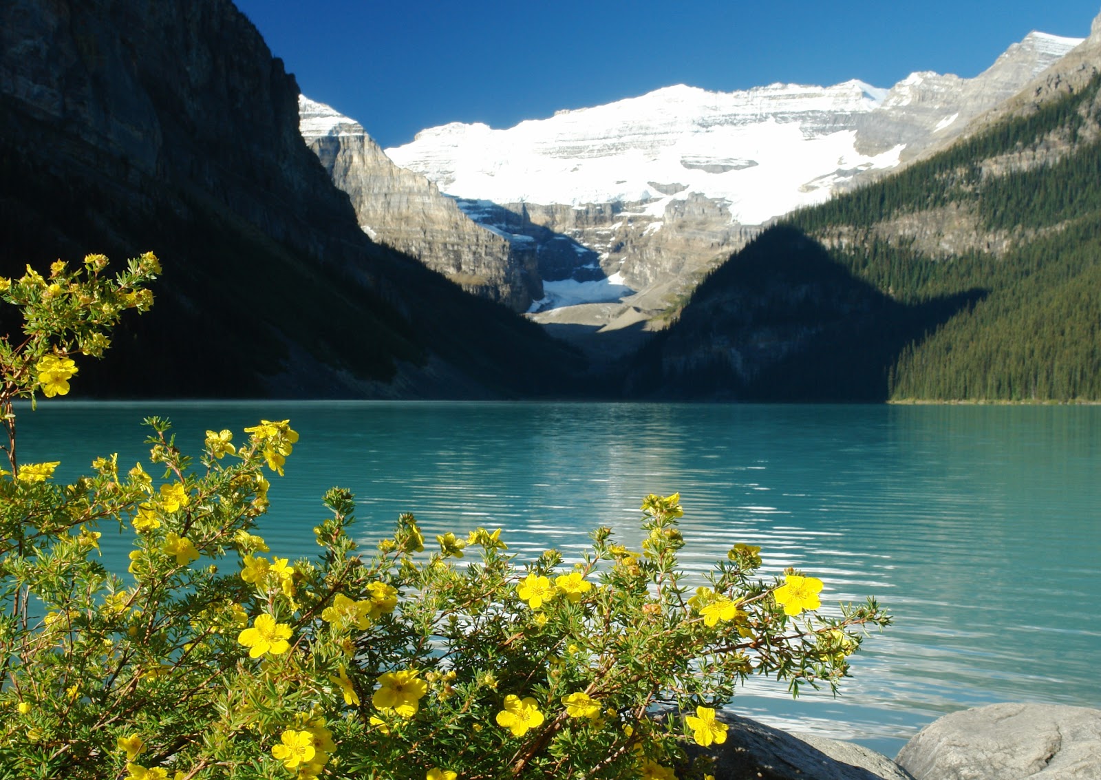 World Visits Cool Lake Louise in Alberta,Canada