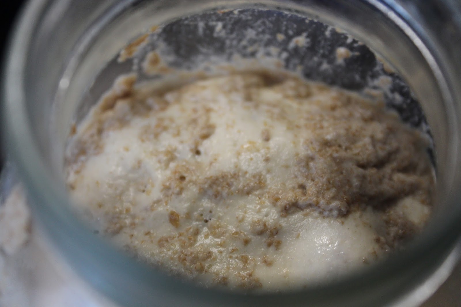 FLOWER POT KITCHEN: SOURDOUGH CULTURE