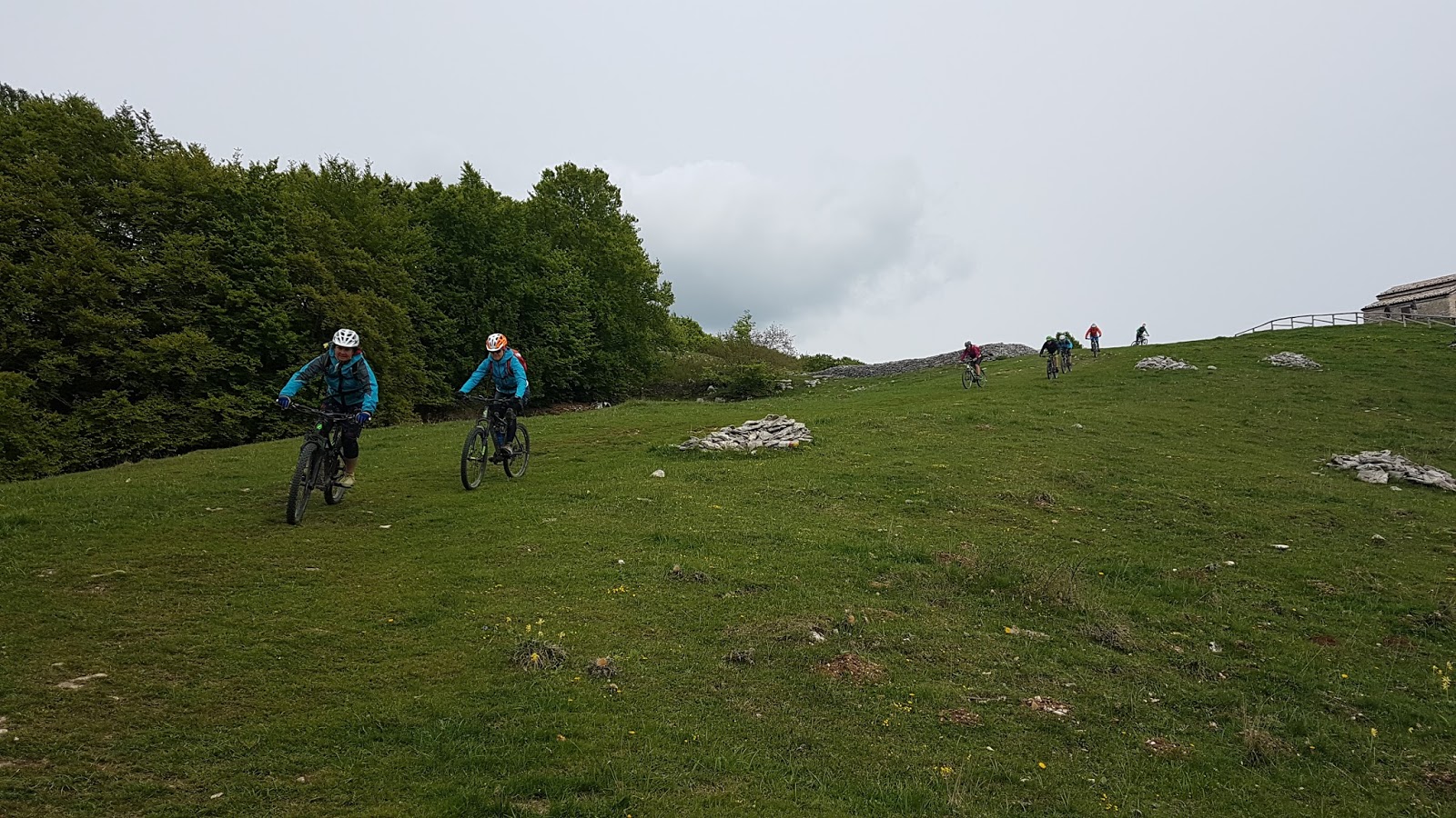 Berggams Am Anderen Ufer