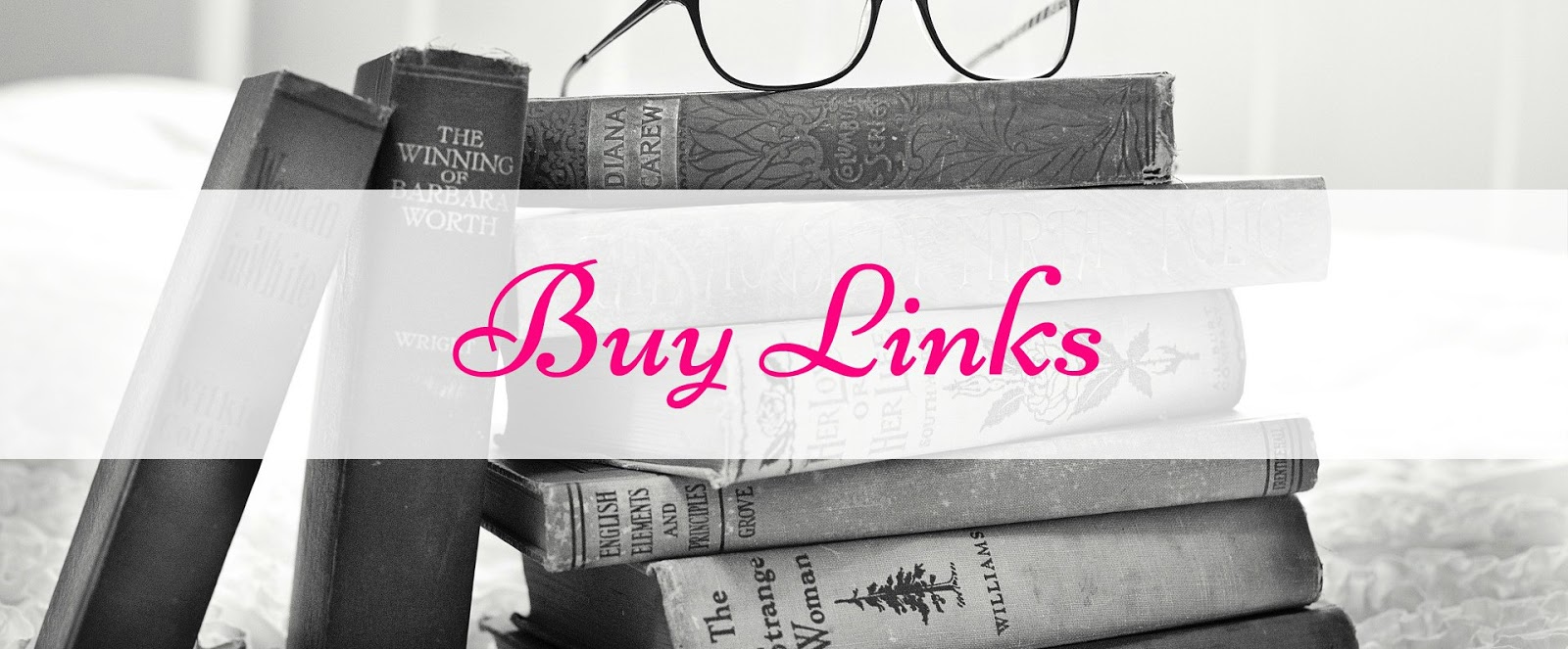 Wyoming Winter By Diana Palmer Review Cara S Book Boudoir