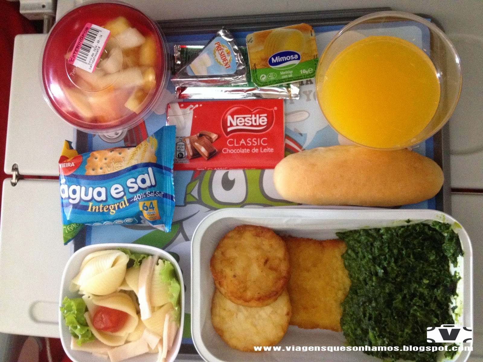 Como é voar TAP, no voo direto Porto Alegre Lisboa Viagens que Sonhamos