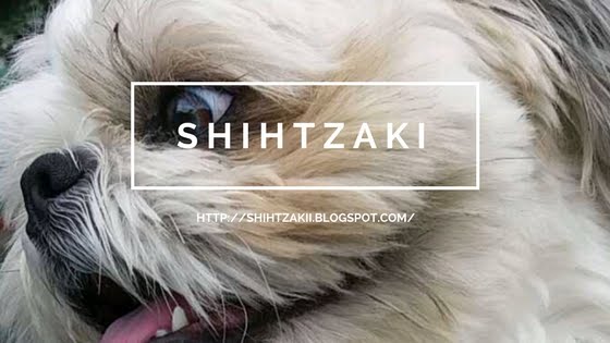 SHIHTZAKI