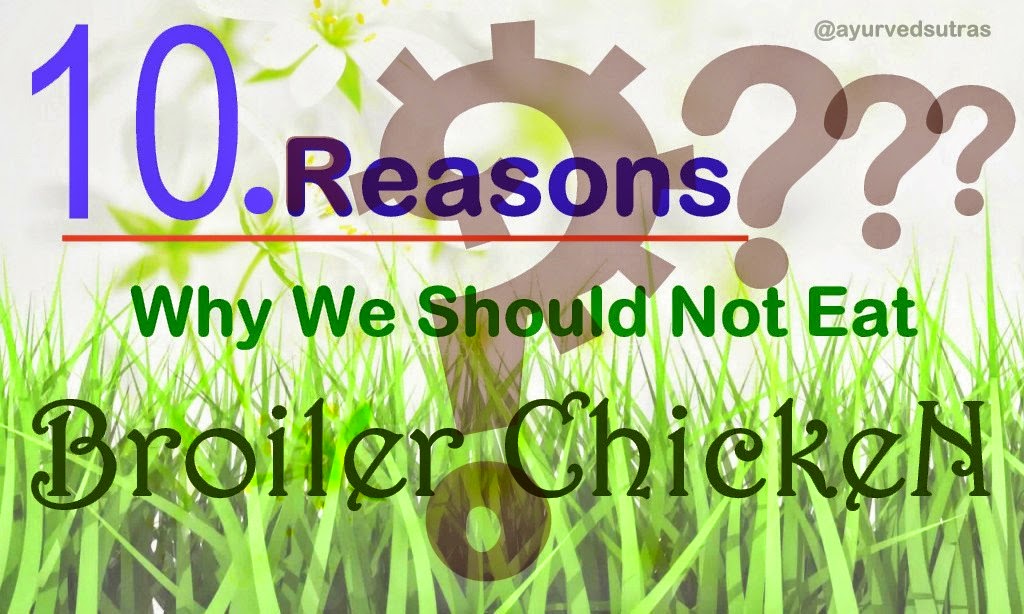10 Reasons Why We Should Not Eat Broiler Chickens