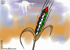 #Palestina Livre #FreePalestine