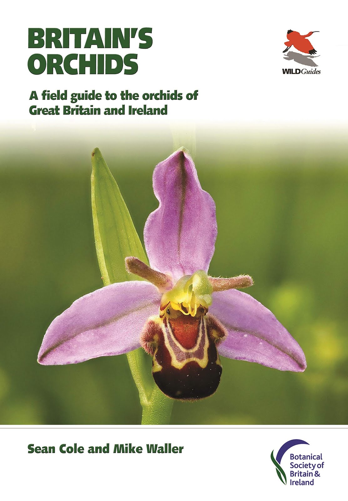 A Field Guide to The Orchids of Gt. Britain and Ireland