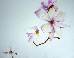 magnolia painting watercolors laura