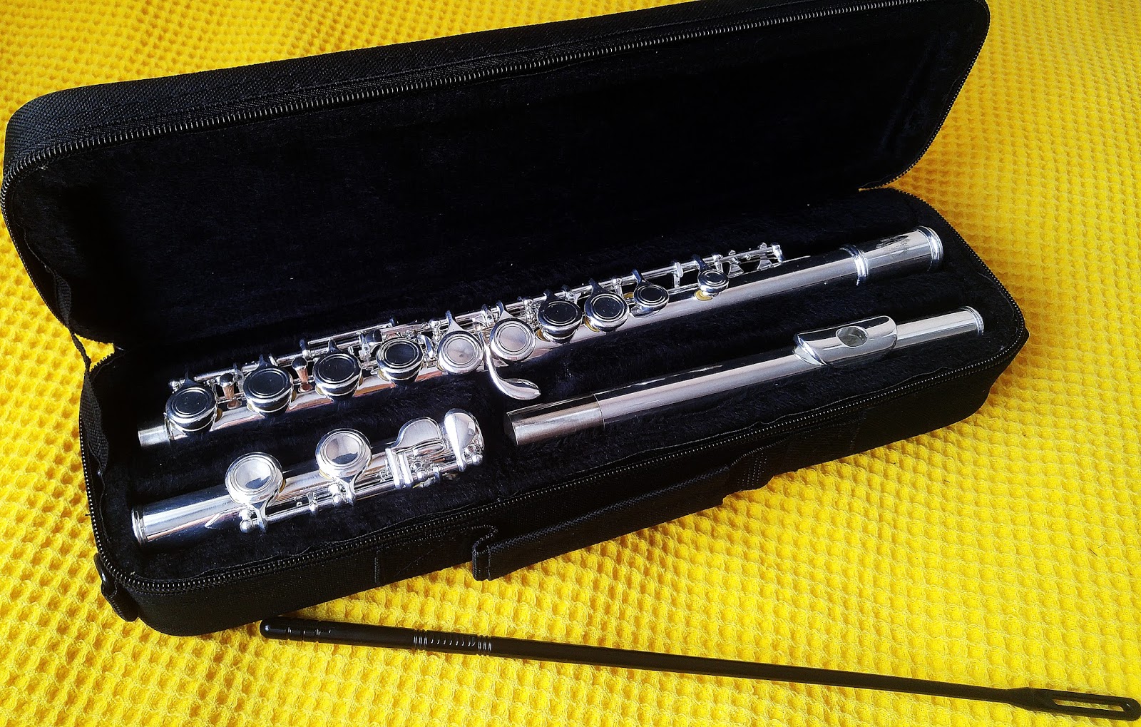 Yan Flut Ogrenmeye Basladim Muzik Gunlugu 1 Gizli Dunya