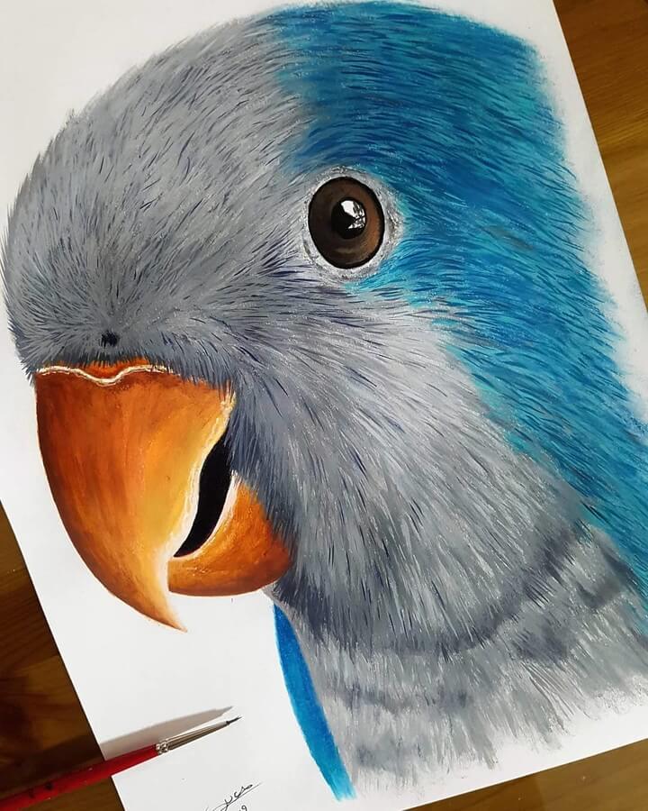 02-Blue-Quaker-Kyle-Duca-Animal-Paintings-www-designstack-co