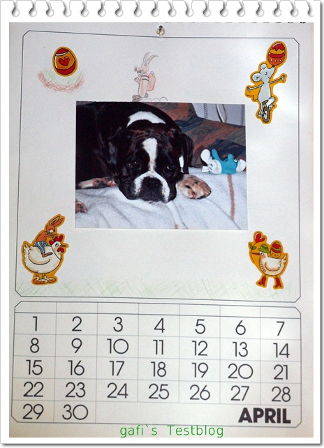 Tanja S Everyday Blog