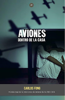Aviones dentro de la casa (novela)