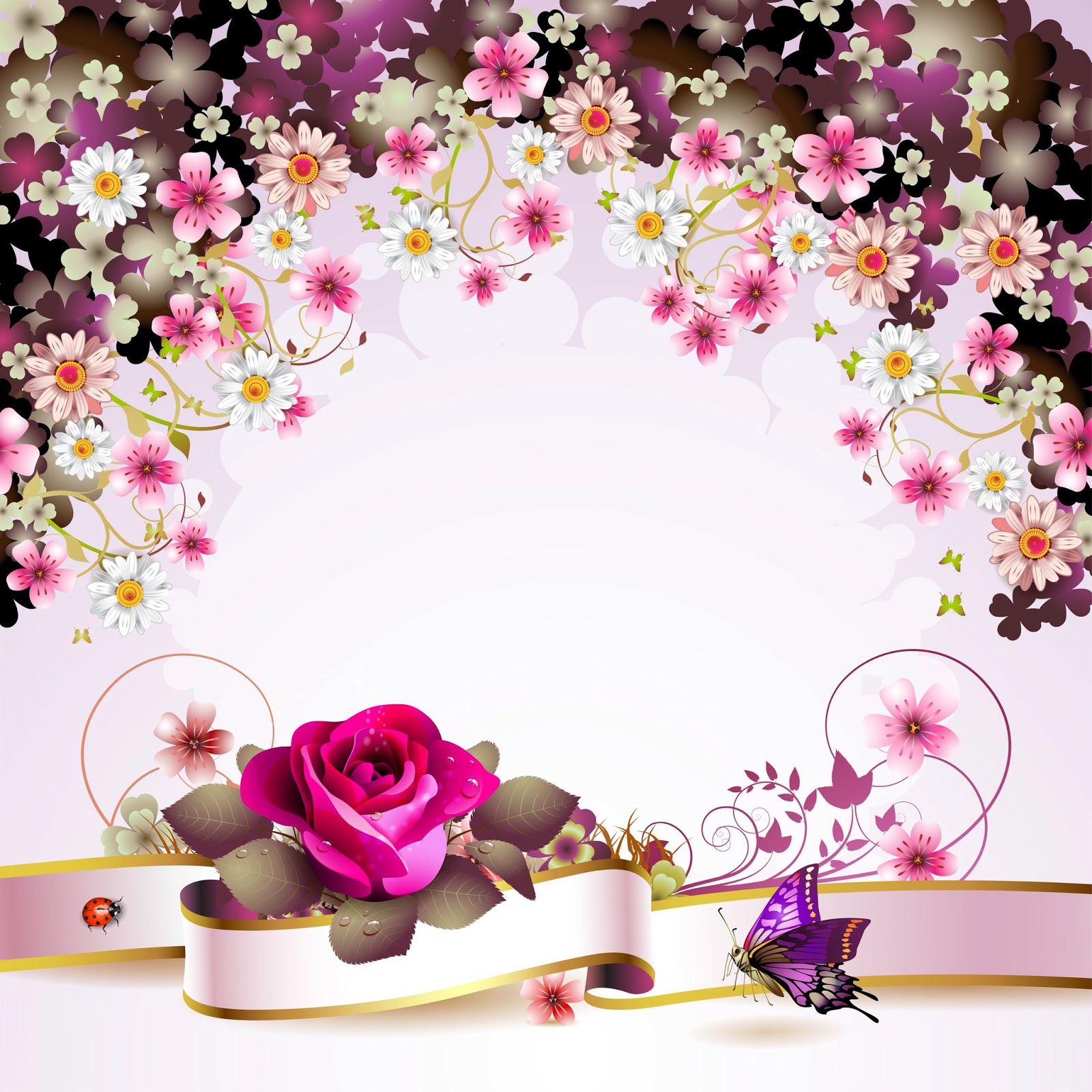 My Image 14