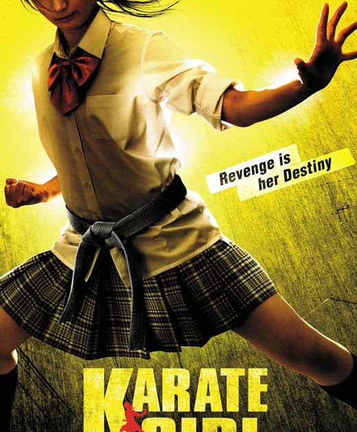 Каратистка фильм 2011