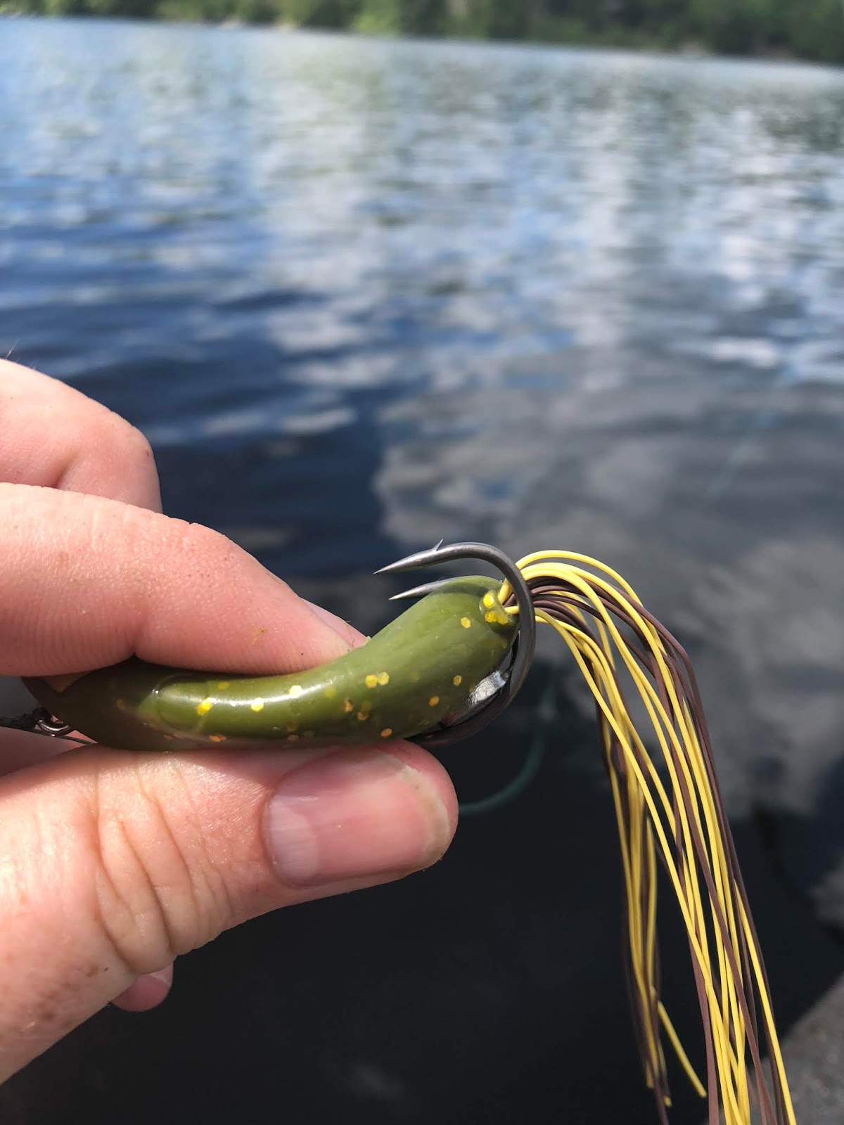 Bass Junkies Frog Pond: Yum Tip Toad Review