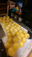 A few dozen of the large white cherry tomatoes sitting on a white plastic cutting board.