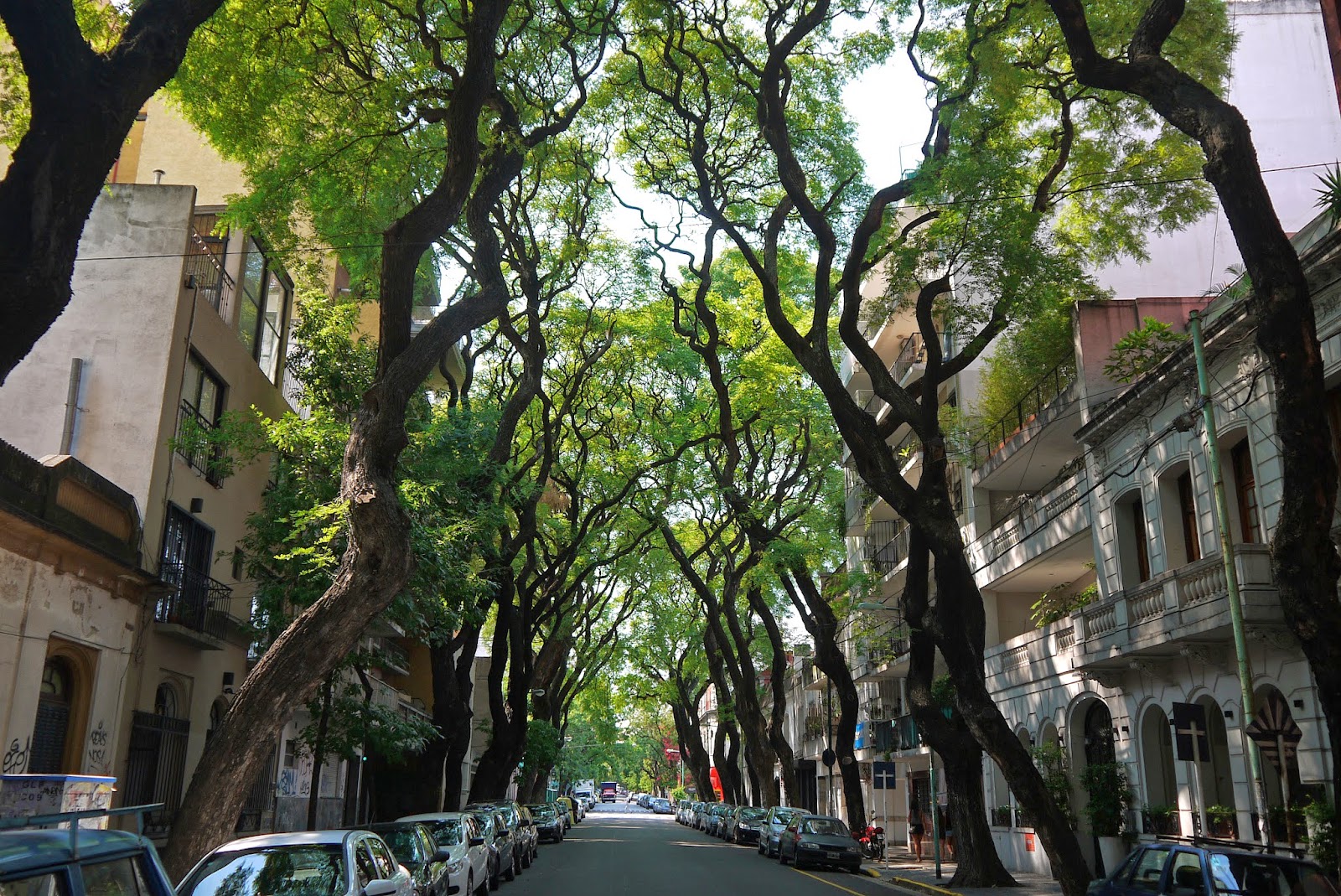 Walking in the country: Buenos Aires: Palermo Soho to the Eva Peron museum