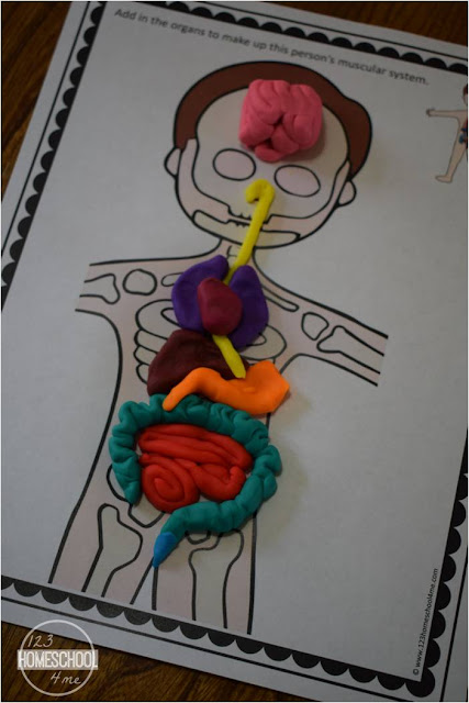FREE Human Body Playdough Mats