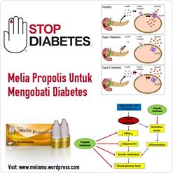 Melia propolis untuk síntomas de diabetes Melia propolis untuk síntomas de diabetes