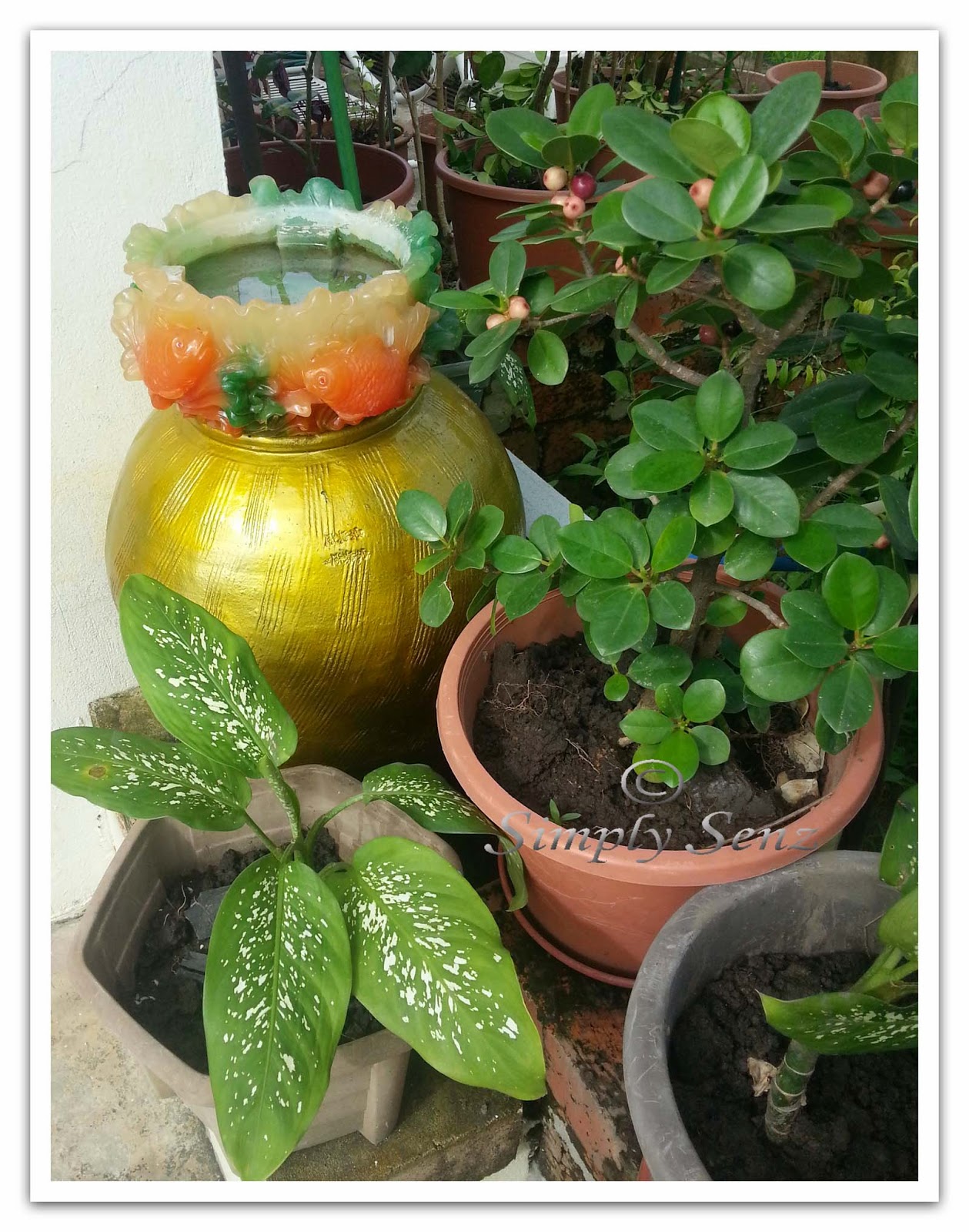 Natural Cancer Remedies That Work Natural Cancer Remedies That Work