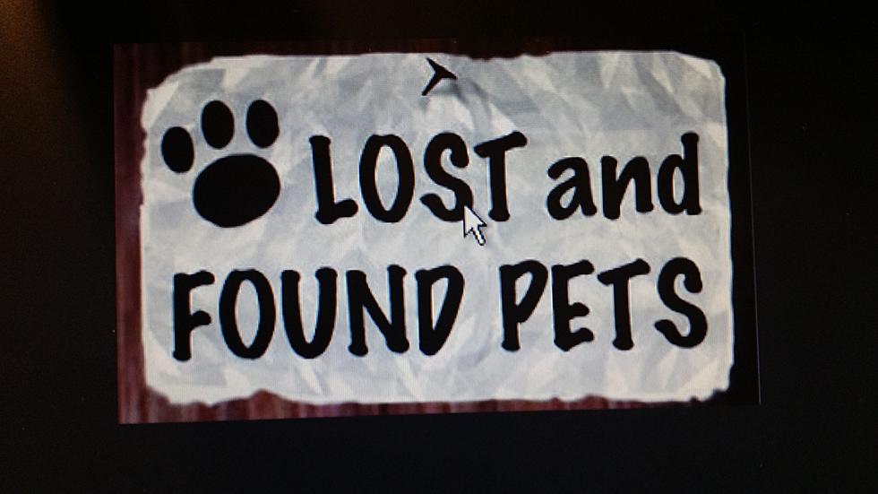 February 2018 Rivers And Bluffs Animal Shelter february-2018-rivers-and-bluffs-animal-shelter