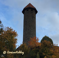 04 09 2015 Potsdam Landtag Wandervogel