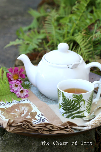 Late Summer Tea Among the Ferns