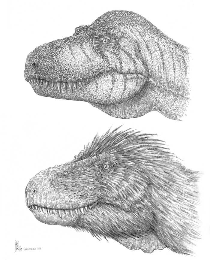 Tyrannosaurus-rex+plumas.jpg