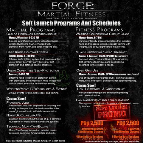 Forge Martial Arts Fitness Free Trials