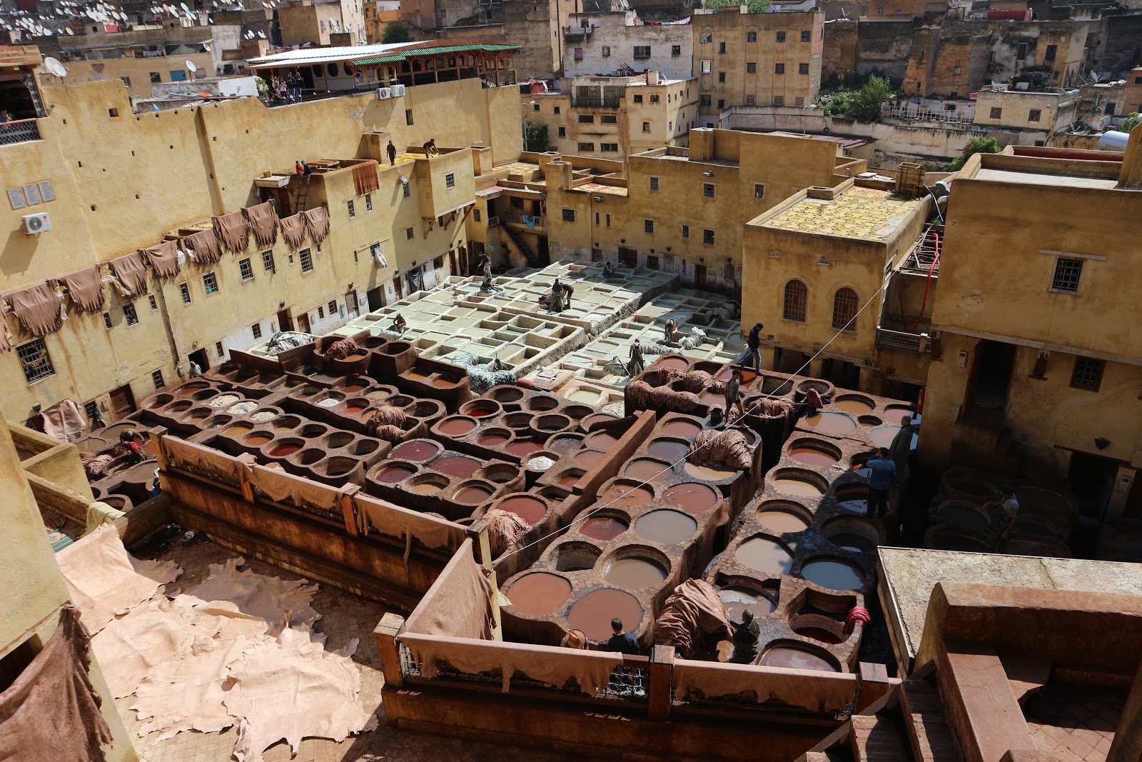 Марокко клон