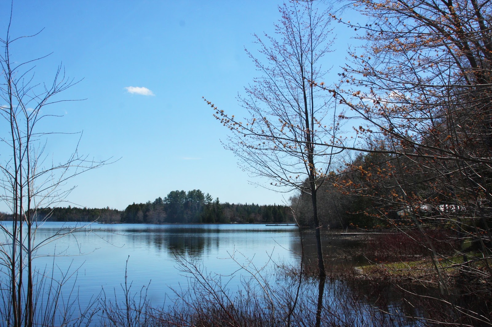 The Urge to Fish is Strong Alice Hendon