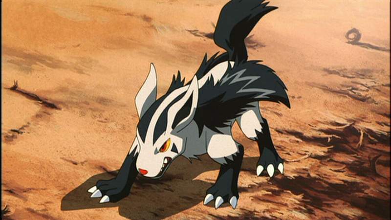 My Favorite Pokémon 36 Mightyena
