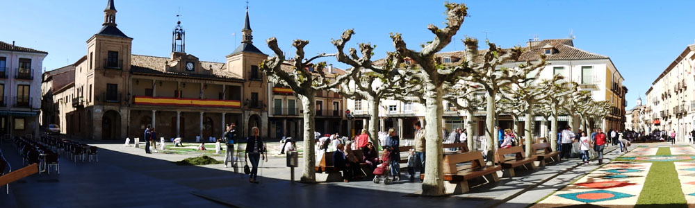 valdelubiel.com ecovaldelubiel.con: ALFOMBRAS EN EL CORPUS