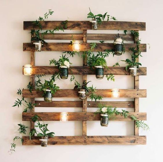 Como decorar ambientes internos com plantas e prateleiras
