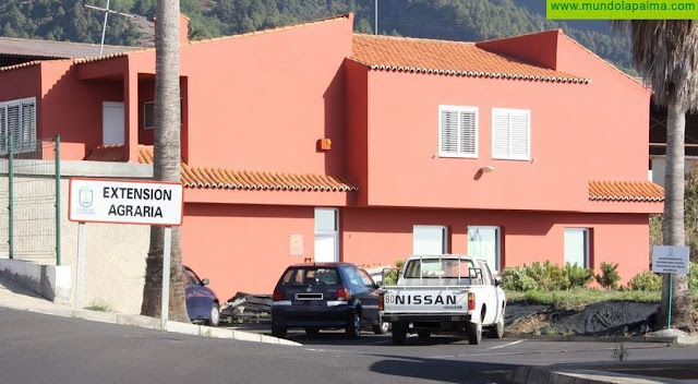 El Cabildo insta a la población a que informe a las Agencias de Extensión Agraria de cualquier foco del pulgón negro de la madera