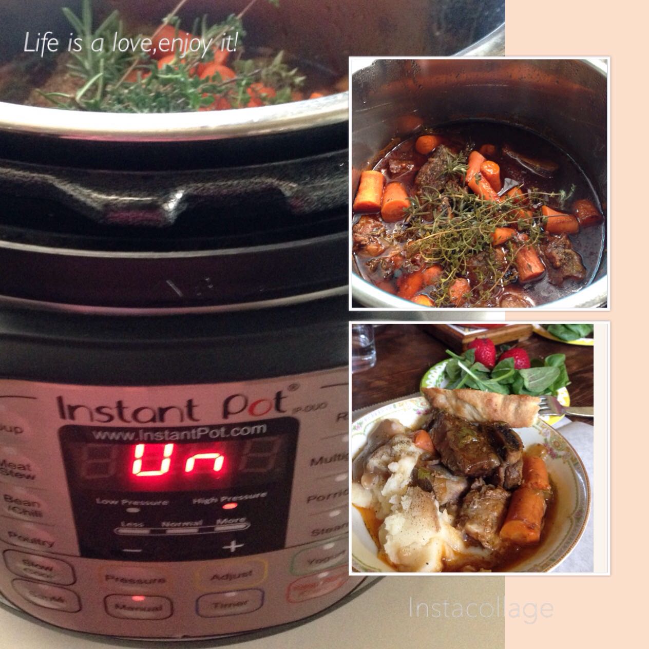 Electric Pessure Cooker...Instant Pot