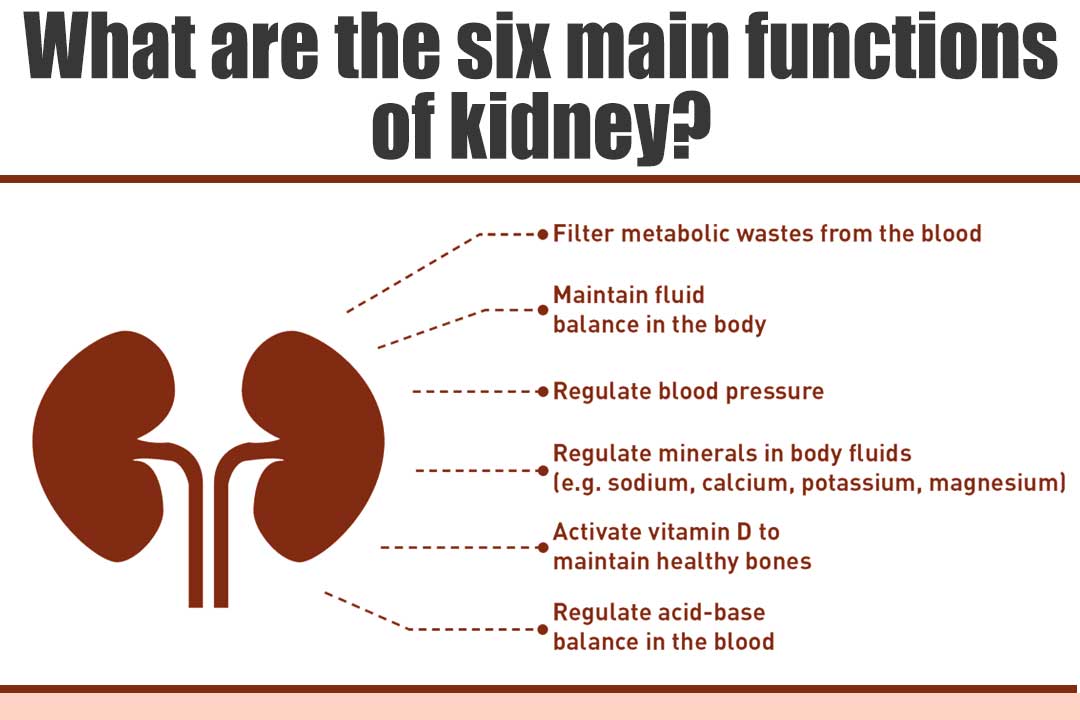 dr-puneet-dhawan-ayurvedic-nephrologist-what-are-the-six-main