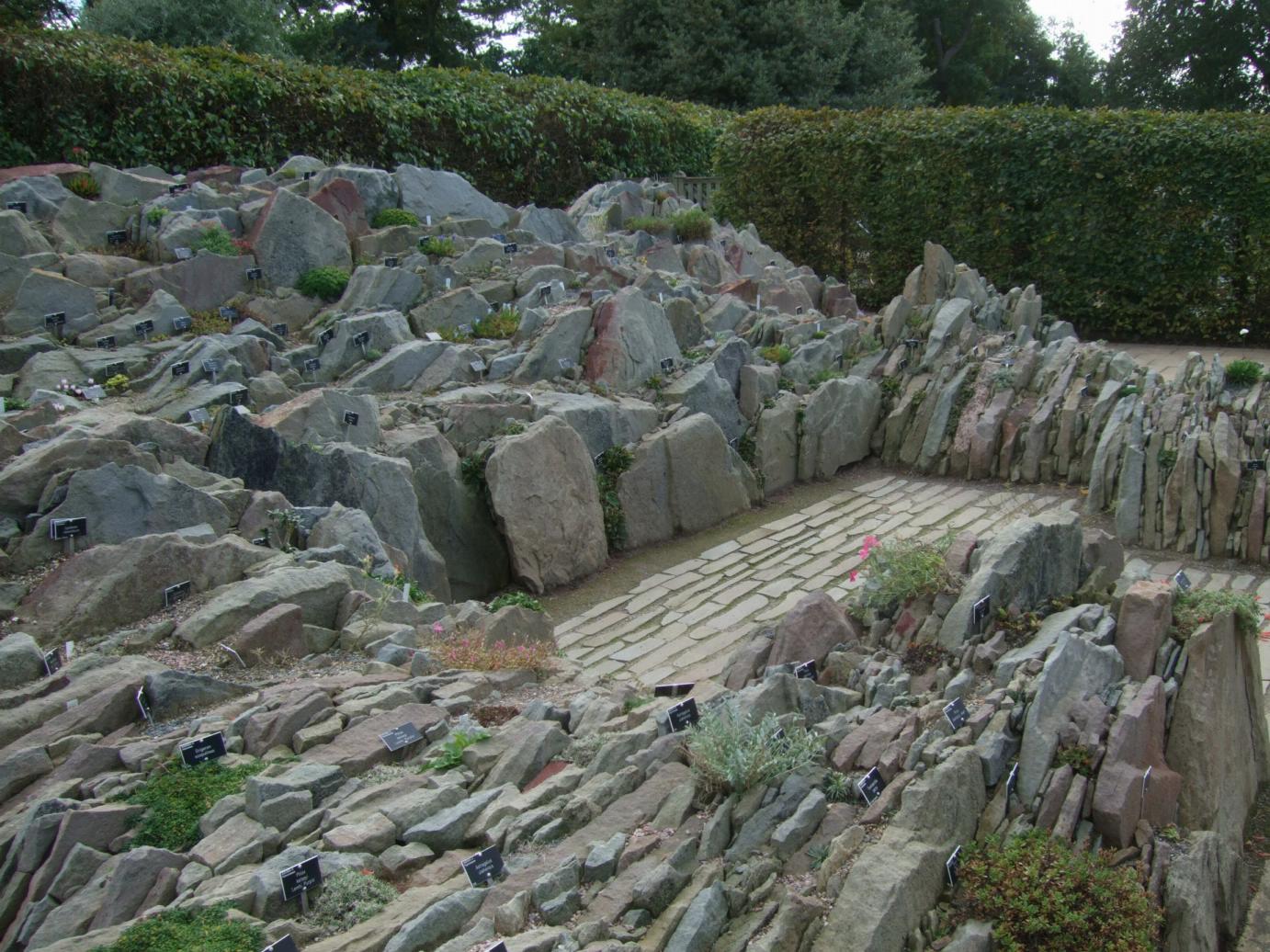 Alternative Eden Exotic Garden Alpine Troughs, Miniature Gardens