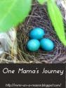 One Mama's Journey